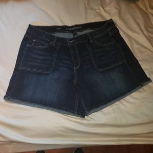 Lane Bryant Dark Wash Denim Jean Shorts